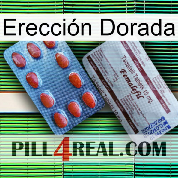 Erección Dorada 36.jpg